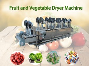 Fruit and vegetable dryer machine