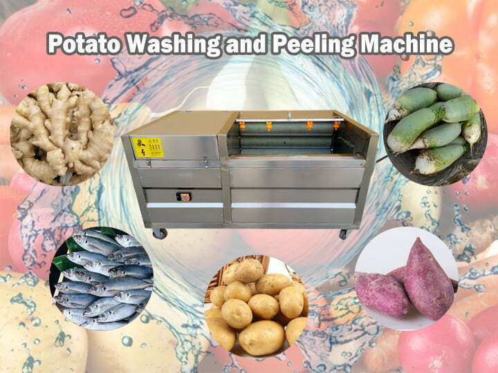 ماكينة غسل وتقشير البطاطس