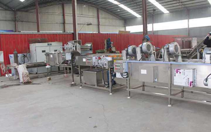 Vegetable fruit dryer in the production line