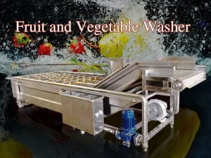 Vegetable washer machine