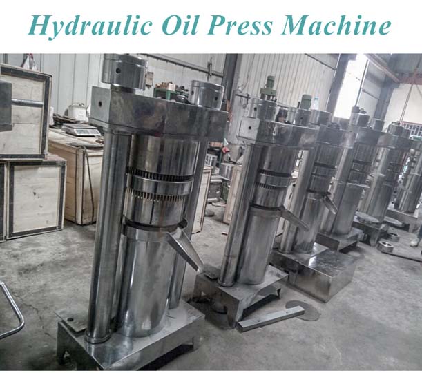 prensa de aceite hidraulico