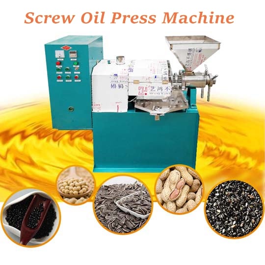 Screw oil press