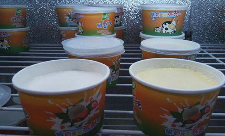 processo interno di produzione dello yogurt