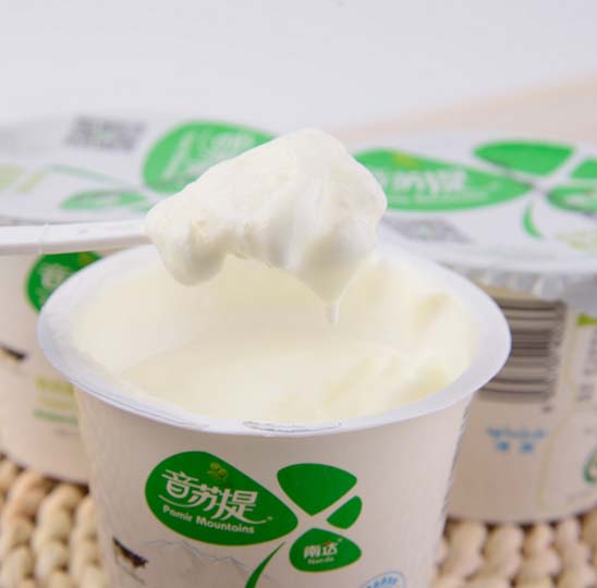 yogurt denso