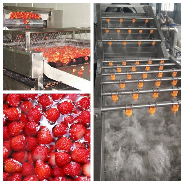 Ligne de lavage des fraises Taizy