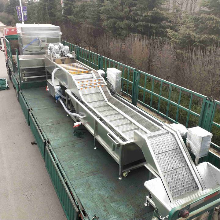 automatic potato washing line for shipping to UAE