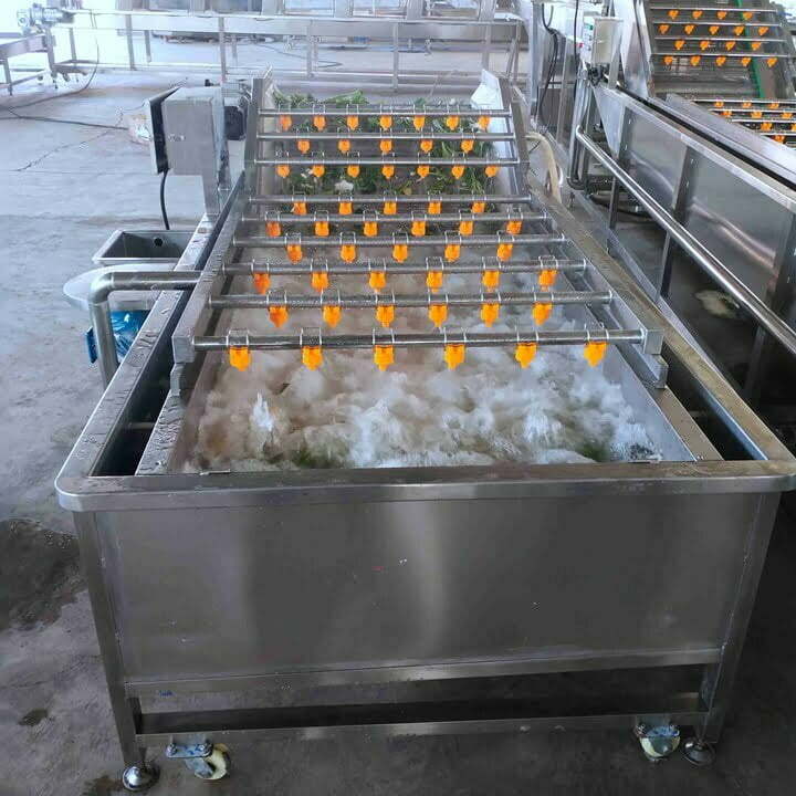 Fruit and vegetable washing machine working principle - Taizy Machinery