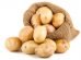 Kartoffeln zur Verarbeitung mit der Kartoffelwaschanlage
