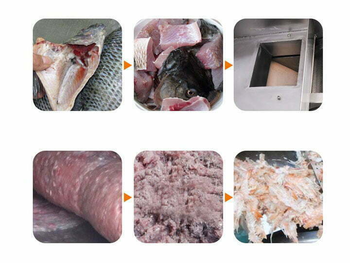 proceso de separación de carne y huesos de pescado