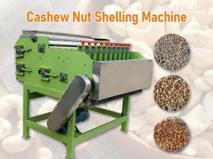 Machine automatique à éplucher les noix de cajou