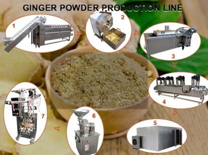 Ligne de production de traitement de poudre de gingembre
