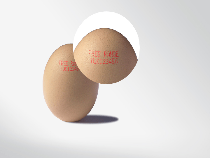 impresora de huevos