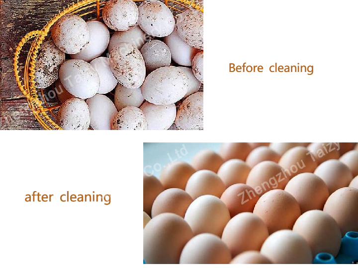 Die Vorteile der Reinigung von Eiern