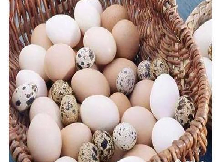 verschiedene Arten von Eiern