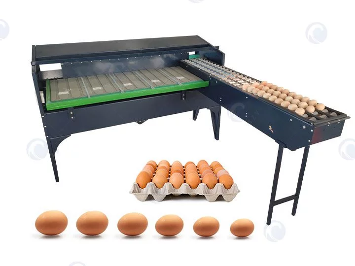 máy phân loại trứng